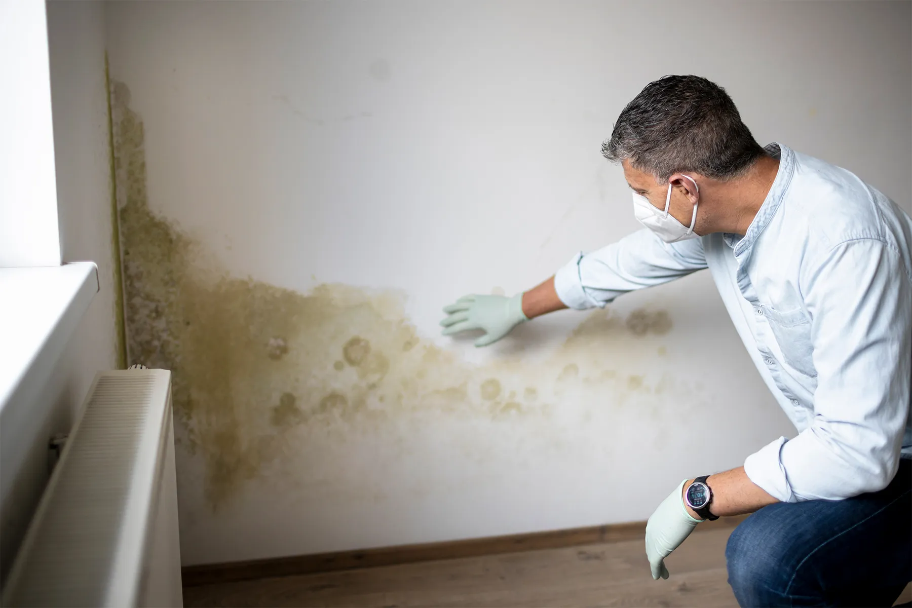 The Importance Of Mold Testing For Your Home: Ensuring A Healthy Living Environment