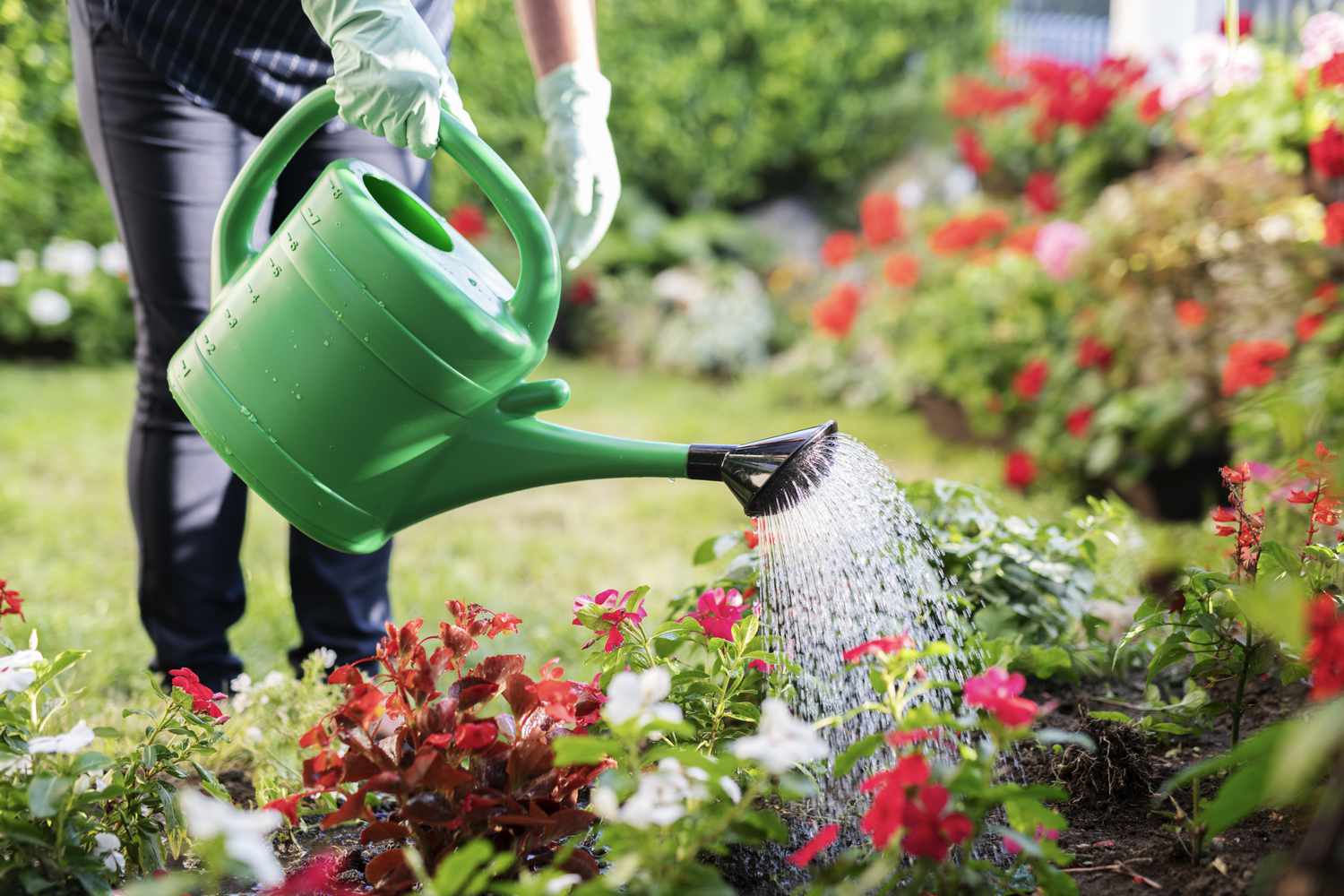 How to Avoid Overwatering Your Landscaping This Spring