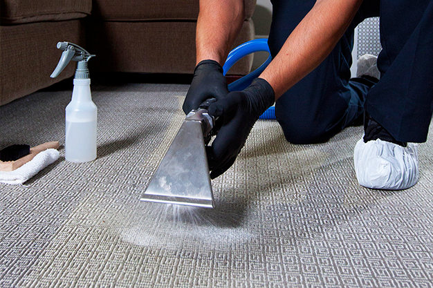 A Professional Carpet Cleaning Service Actually Saves Money